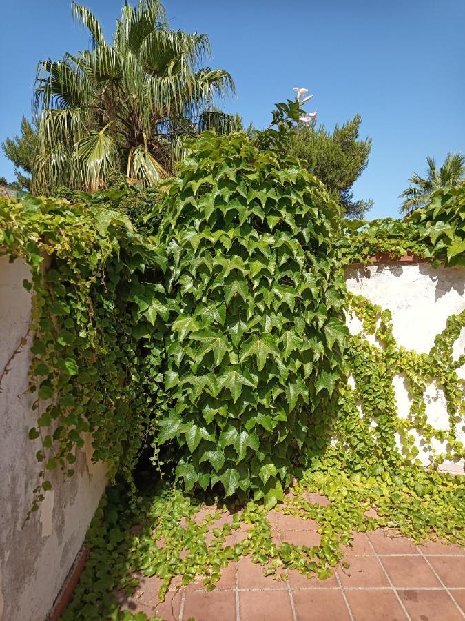 Villa Grande Messina Exterior photo